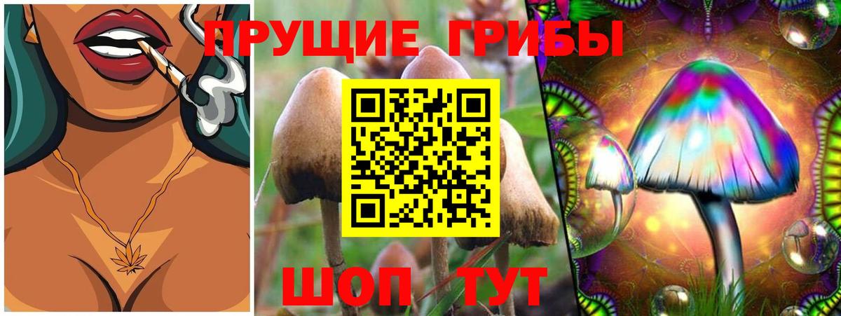 Киров  Галлюциногенные грибы Psilocybe  Псилоцибиновые грибы ЛСД  Вход с VPN 